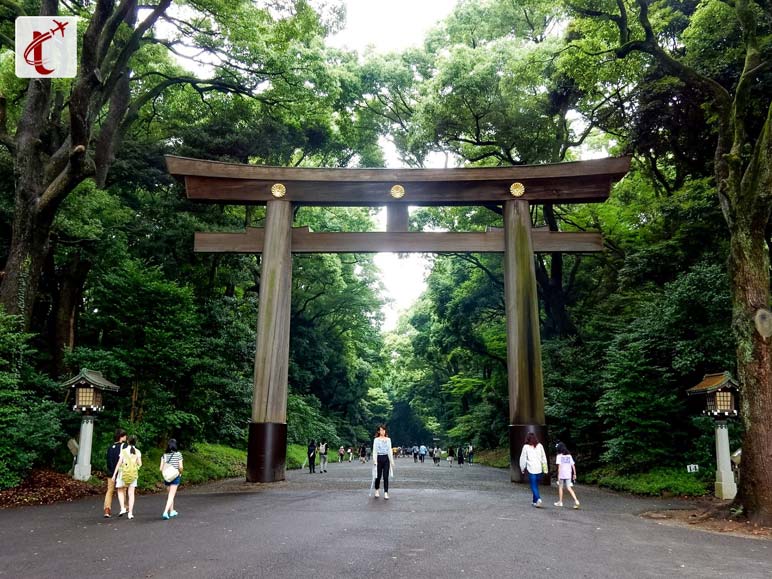 Meiji Shrine and Yoyogi Park