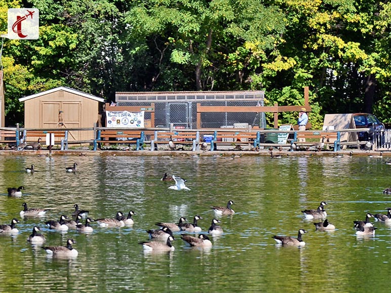 Webster Pond and the Anglers Association of Onondaga