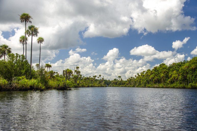 Kayak Through the Tomoka River