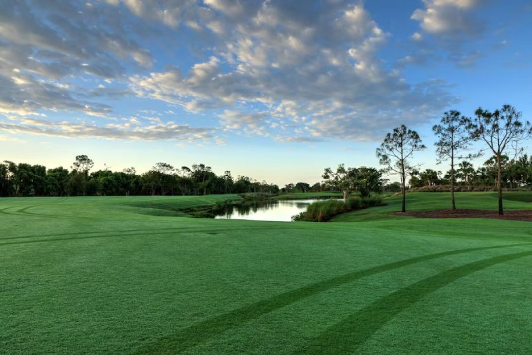 Tee Off at a Premier Golf Course