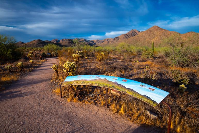 Explore McDowell Sonoran Preserve