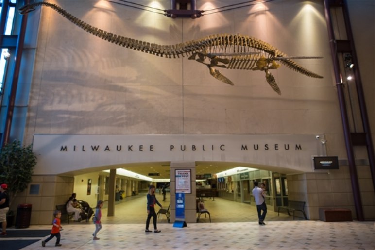 Discover The Milwaukee Public Museum