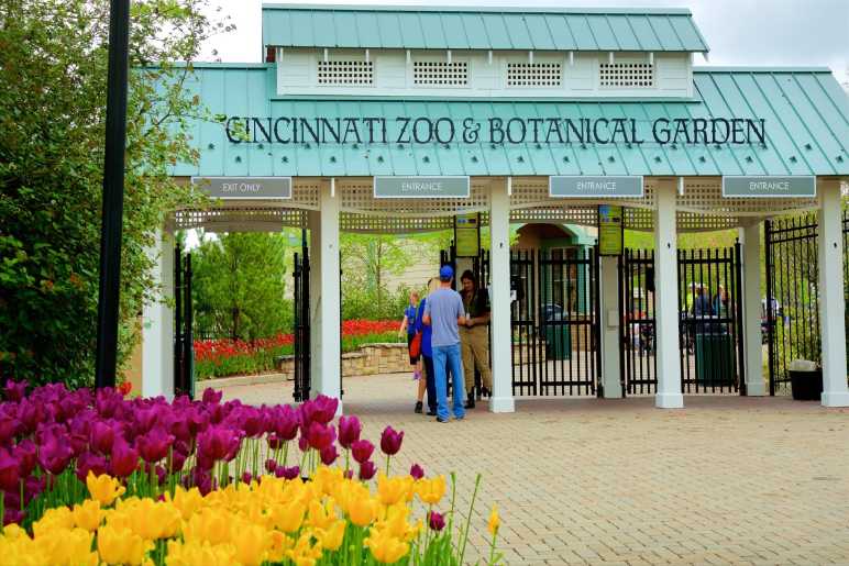 Stroll Through the Cincinnati Zoo and Botanical Garden