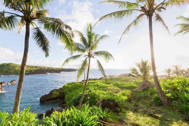 best Hawaiian island to visit