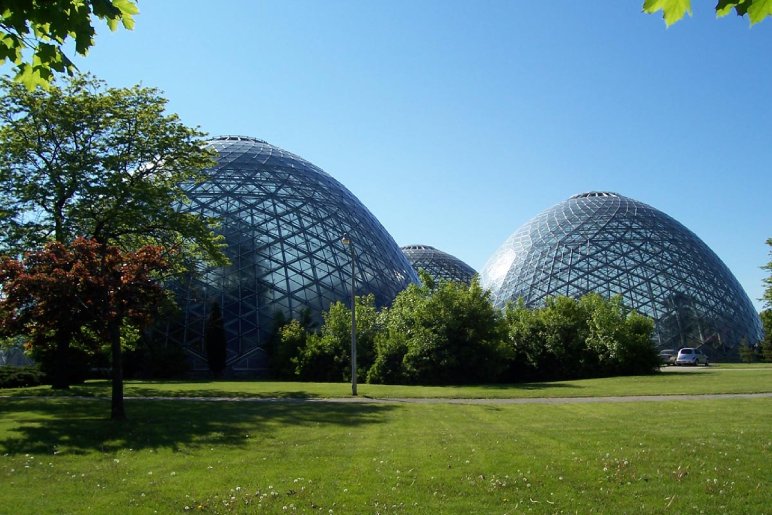  Explore The Mitchell Park Horticultural Conservatory